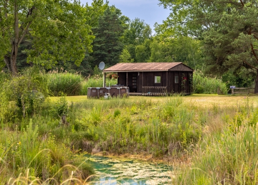 Golden Carp Lake - Big Carp Fishing France with a Social Lodge - photo 9