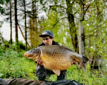 Grandes Cimes - Great Value Carp Fishing France - photo 10