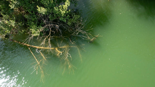 Grandes Cimes - Great Value Carp Fishing France - photo 9
