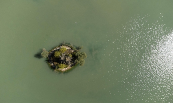 Ilot - Carp Fishing France with Lodge - photo 8