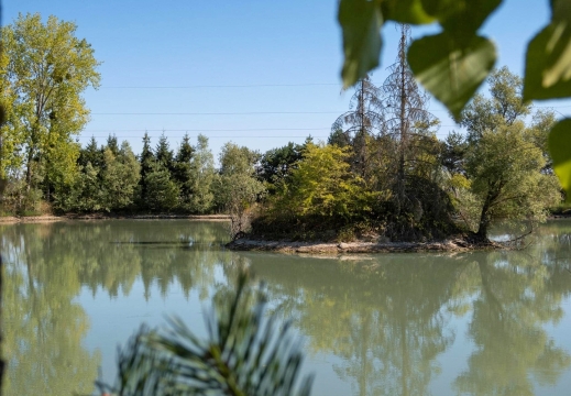 Ilot - Carp Fishing France with Lodge - photo 3
