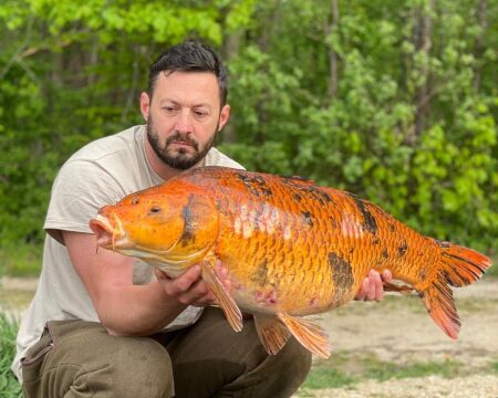 Jonchery 8 - Carp Lake in France - photo 4