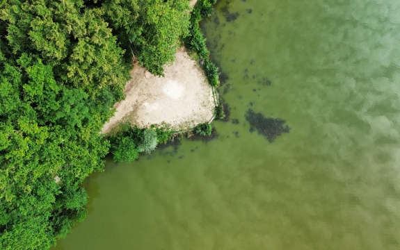 Jonchery 8 - Carp Lake in France - photo 10
