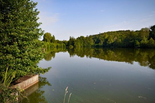 La Fonte - French Carp Lake - photo 13