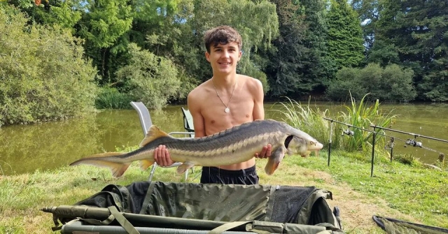 Lakeview - Carp Fishing France with Accommodation - photo 6