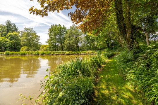 Lakeview - Carp Fishing France with Accommodation - photo 11