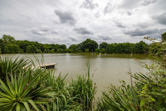 Landes - Carp fishing France - photo 7