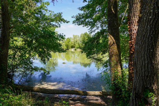 Le Repaire - Carp Fishing France with Lodge - photo 13