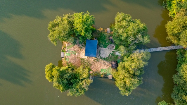 Lillypool - French carp fishing - photo 15