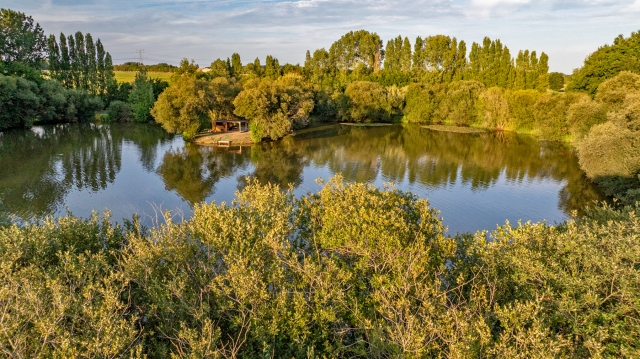 Lillypool - French carp fishing - photo 3