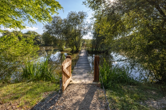 Lillypool - French carp fishing - photo 12