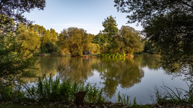 Lillypool - French carp fishing - photo 10