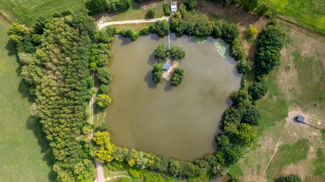 Lillypool - French carp fishing - photo 5