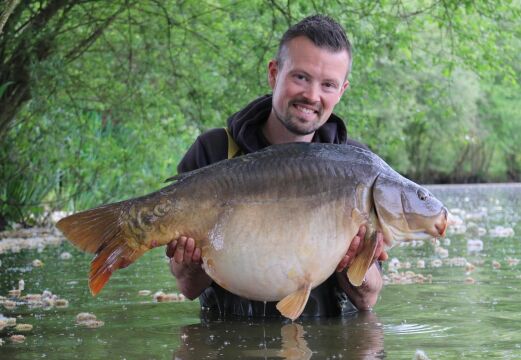 Lillypool - French carp fishing - photo 18