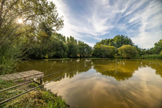 Lillypool - French carp fishing - photo 17