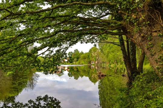 Linstant - Small Lake Exclusive in France - photo 11