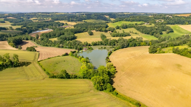 Mas Bas Main Lake - Carp fishing in France with accommodation - photo 11