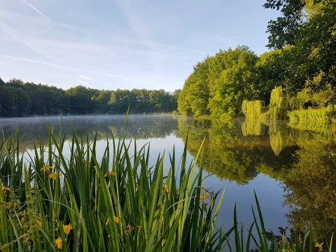 MDP Lake - Small Exclusive Carp Lake France - photo 23