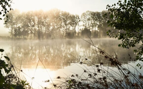 Mystique - Carp Fishing France with Accommodation - photo 12