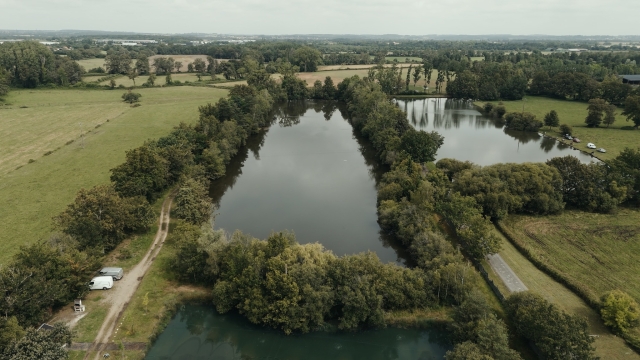 Old Oaks - Carp France - photo 7