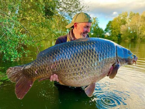 Old Oaks - Carp France - photo 1