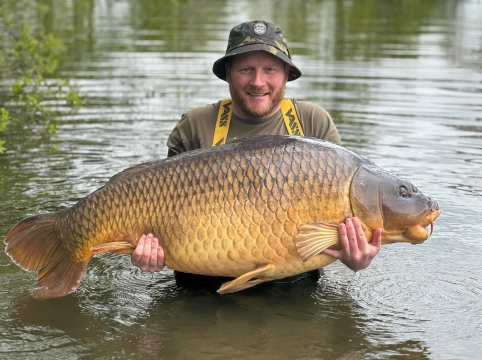 Old Oaks - Carp France - photo 3