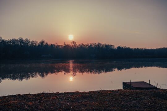 Renarde - Carp Fishing France - photo 12