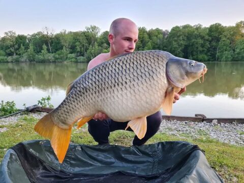 Renarde - Carp Fishing France - photo 11