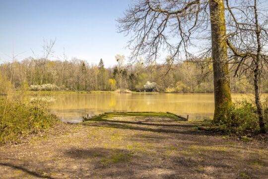 Renarde - Carp Fishing France - photo 10