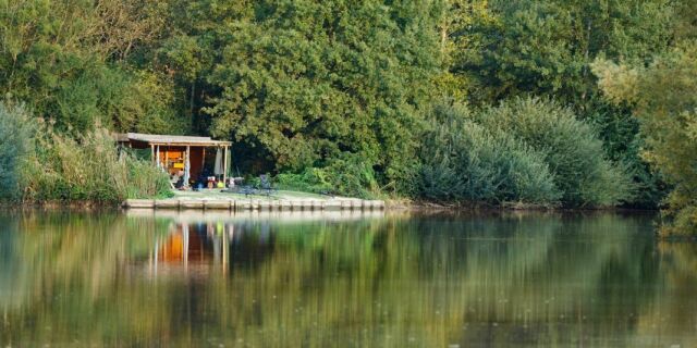 Renarde - Carp Fishing France - photo 1