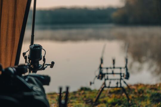Renarde - Carp Fishing France - photo 8