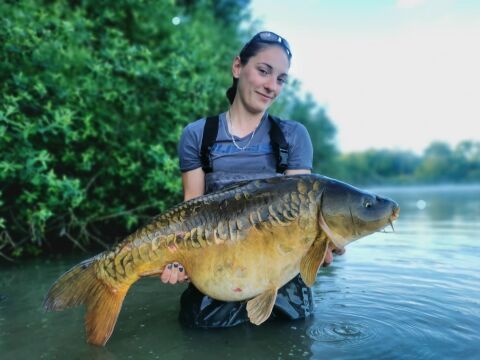 Renarde - Carp Fishing France - photo 2