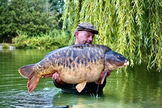 Seigneurie - Carp Lakes in France - photo 3