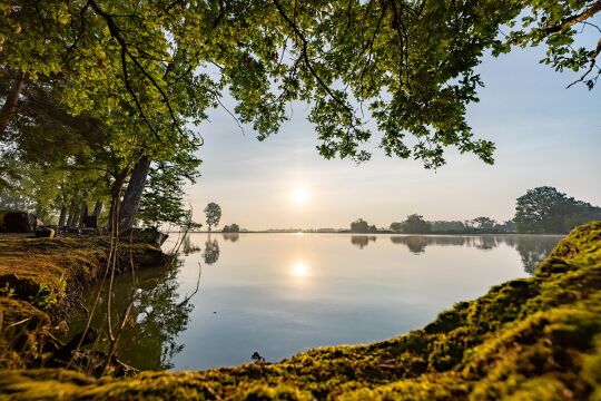 Vincons - Carp fishing in France with accommodation - photo 8