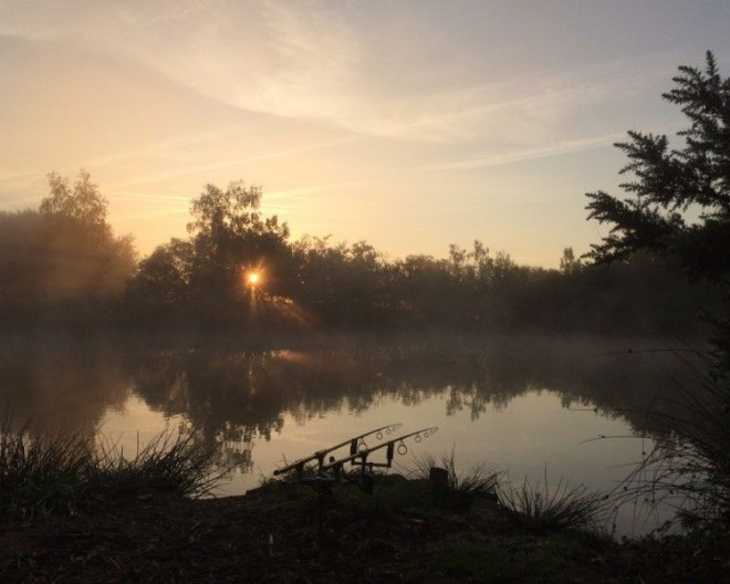 Old Oaks carp fishing lake in France – photo 4
