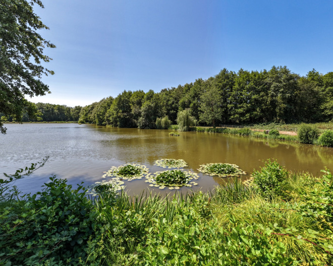 MDP Lake carp fishing lake in France – photo 4