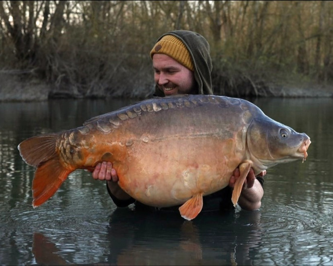 Evaro 2