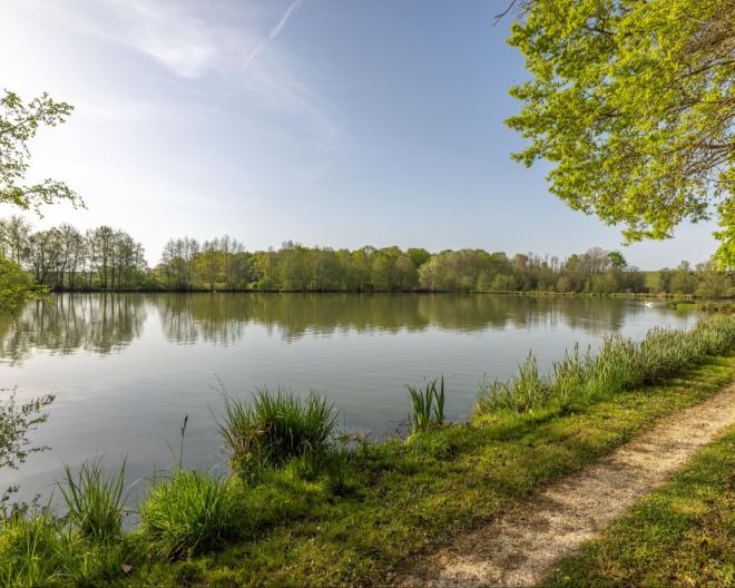 Jonchery 8 carp fishing lake in France – photo 5