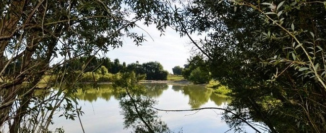 Beaurepaire carp fishing lake in France – photo 5