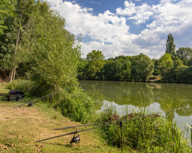 Cerises carp fishing lake in France – photo 4