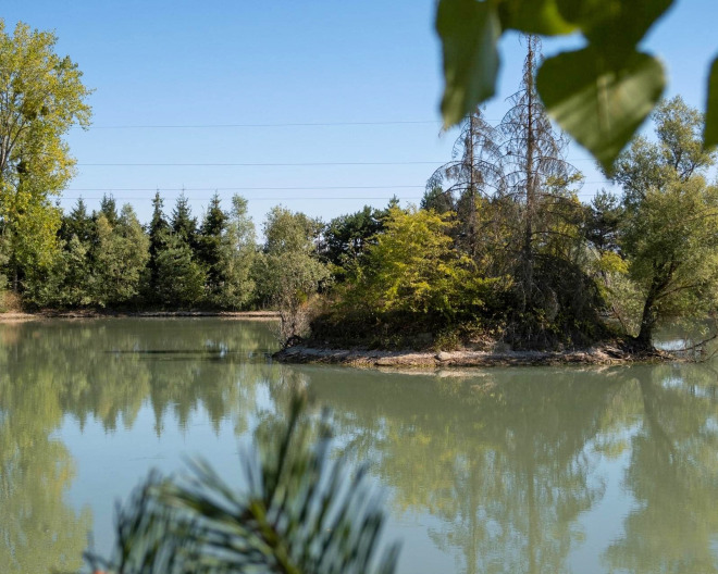 Ilot carp fishing lake in France – photo 3