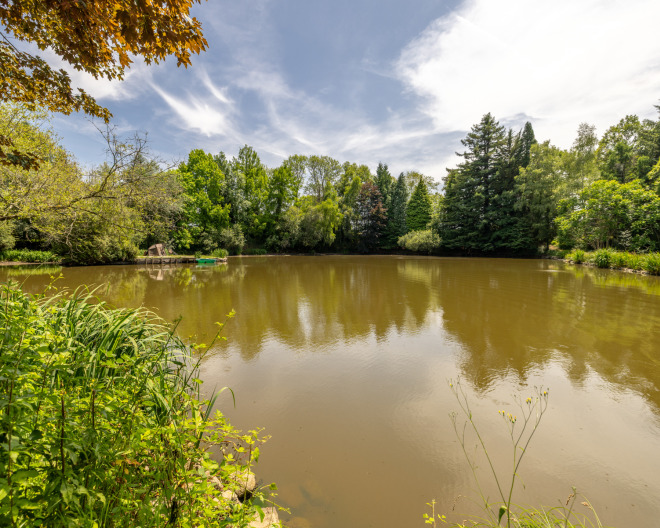 Lakeview 1