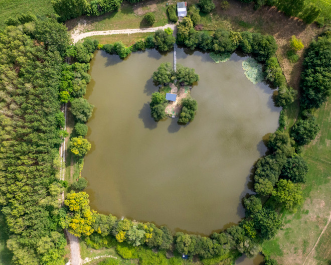 Lillypool carp fishing lake in France – photo 5