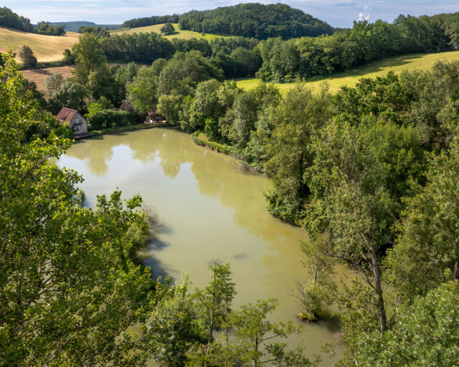 Mas Bas Lotus Lake carp fishing lake in France – photo 6