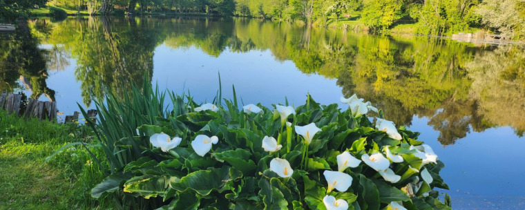 Lake photos photo