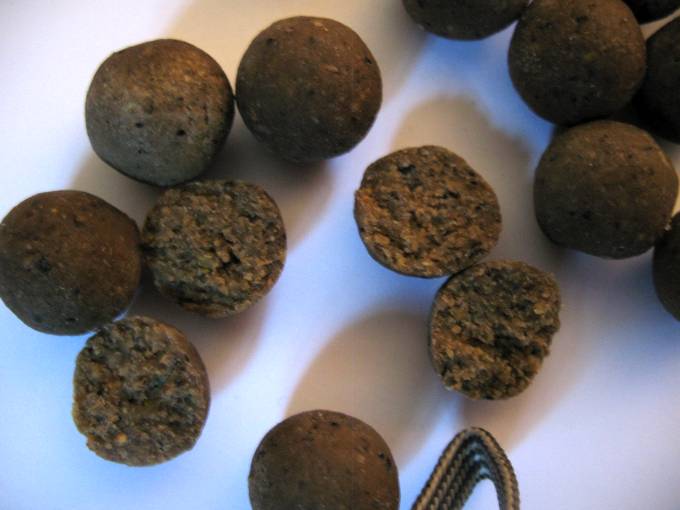 Carp boilies