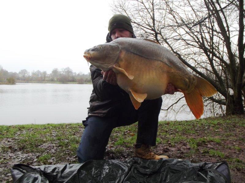 36lb Mirror Carp