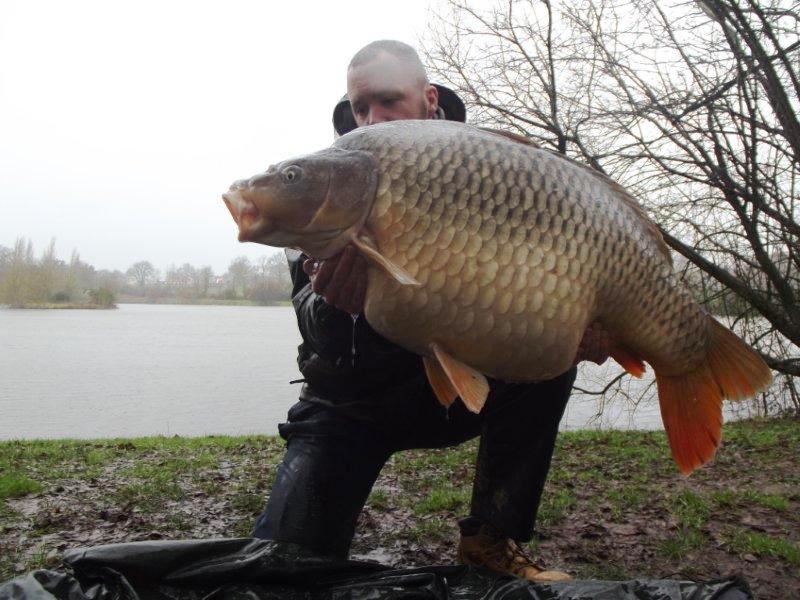 54lb Common Carp