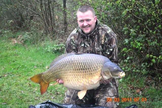 51lb common carp