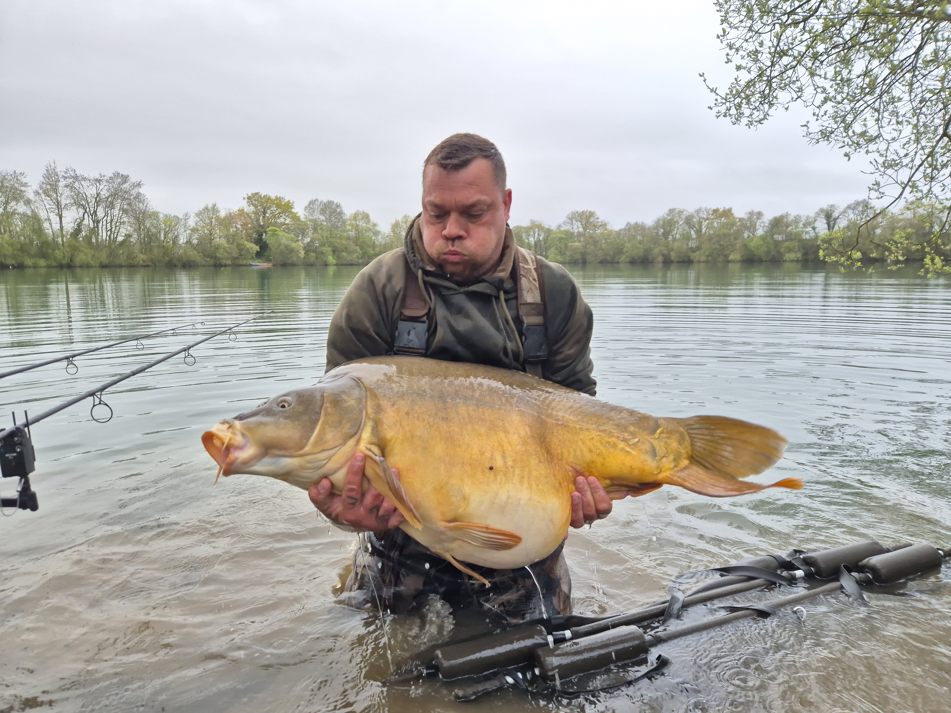 Fish photos photo 1 Emeraude